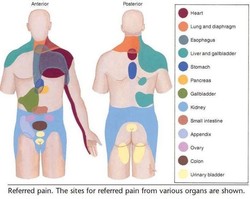 Referred pain, can be coming from somewhere else in your body.